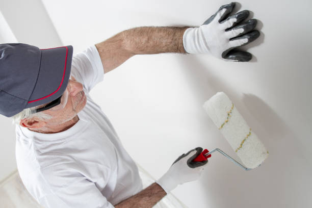Mold Odor Removal Services in Watervliet, MI
