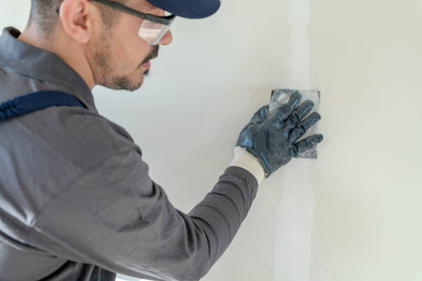  Watervliet, MI Mold Removal Pros