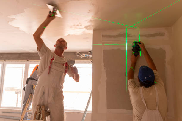 Reliable Watervliet, MI Mold Removal Solutions