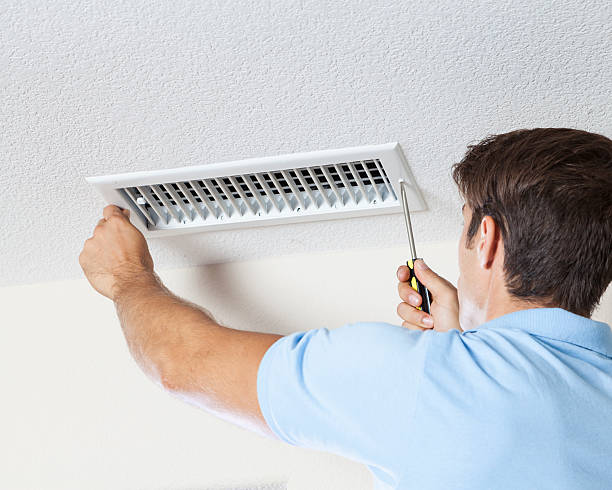Best Emergency Mold Remediation  in Watervliet, MI