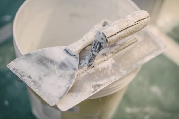 Best Water Damage & Mold Remediation  in Watervliet, MI