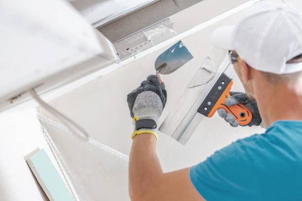 Best Environmental Consulting for Mold Prevention  in Watervliet, MI